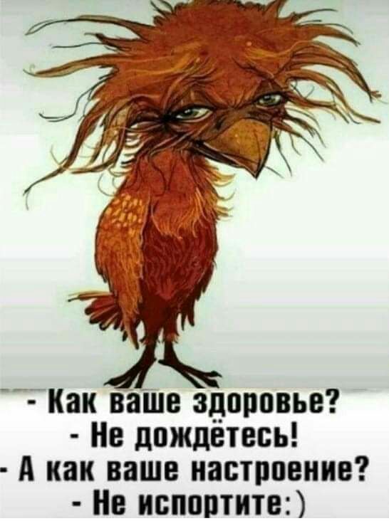 кп ваше здоровье Не дождетесь А как ваше настроение Не испортит