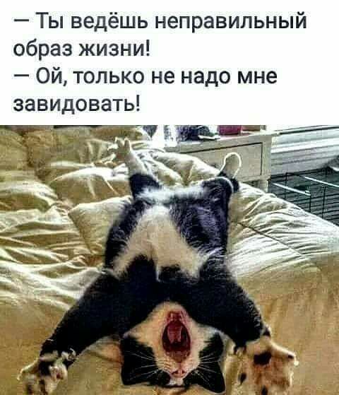 Ты ведёшь неправильный образ жизни Ой только не надо мне завидовать