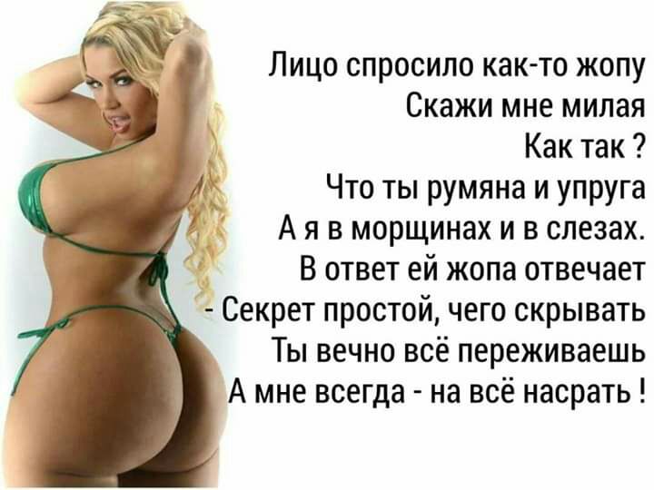 Лицо спросило как то жопу Скажи мне милая _ Как так __ Что ты румяна и упруга А я в морщинах и в слезах В ответ ей жопа отвечает Секрет простой чего скрывать Ты вечно всё переживаешь А мне всегда на всё насрать