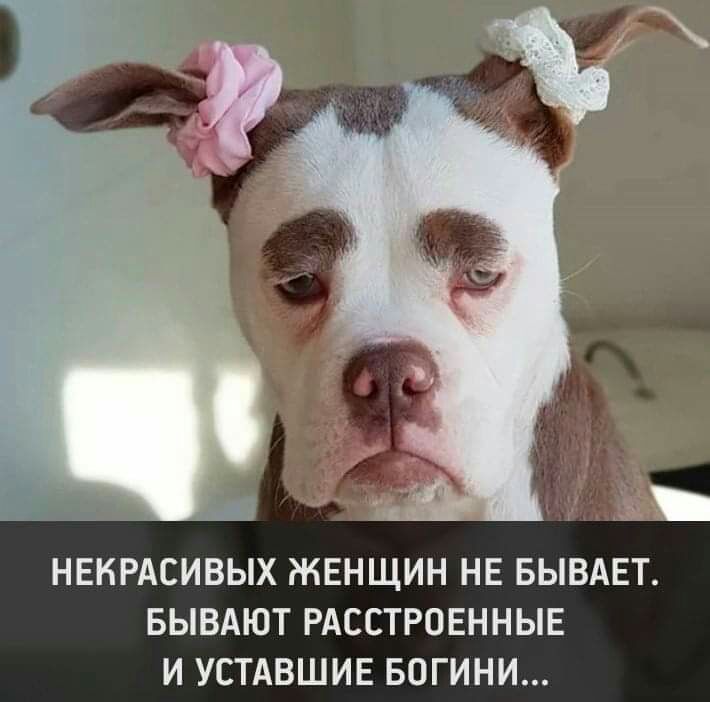 НЕНРАСИВЫХ ЖЕНЩИН НЕ БЫВАЕТ БЫВАЮТ РАССТРОЕННЫЕ И УСТАВШИЕ БОГИНИ