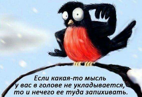 н Если какаято мысль у вас в голове не укладывается то и нечего ее туда запихивать