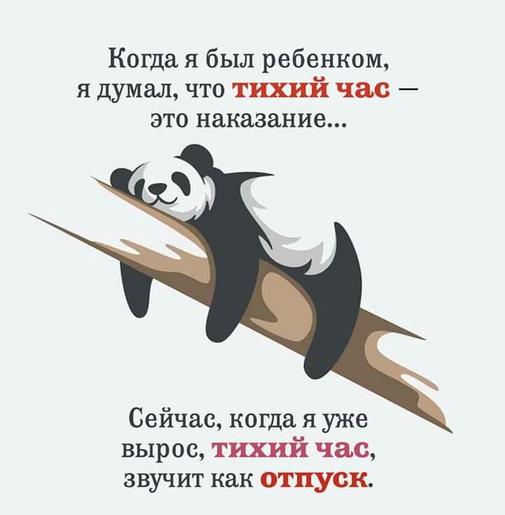 Когда я был ребенком я думал что тшй час это наказание Сейчас когда я уже вырос тихий час звучит как отпуск