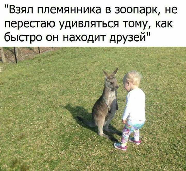 Взял племянника в зоопарк не перестаю удивляться тому как быстро он находит друзей