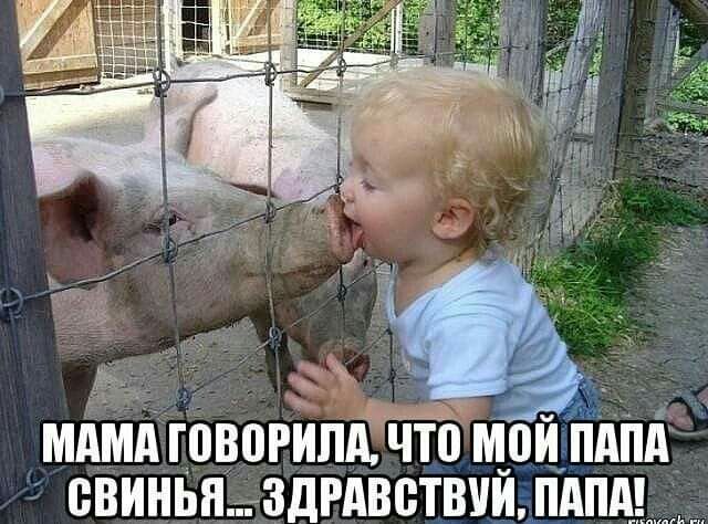 МАМА ГПВПРАПА ЧТП МПА ПАПА свинья ЗдРАВПТВУА ПАПА