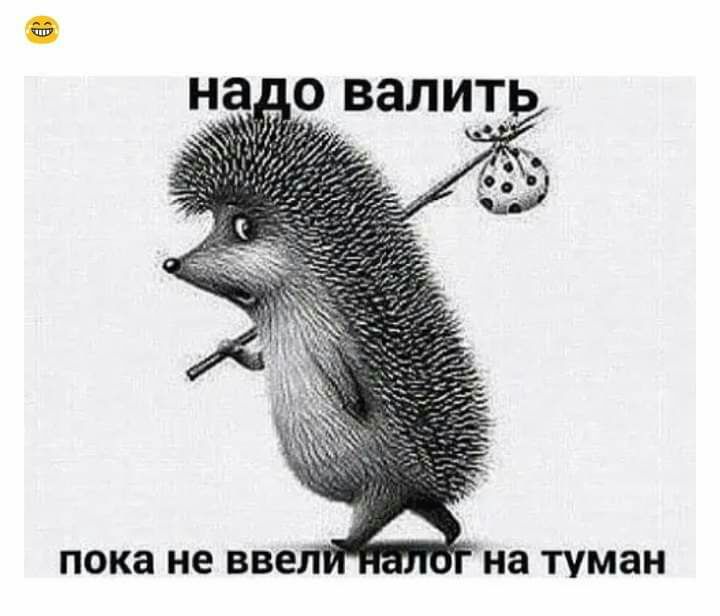 пока не 336 на туман