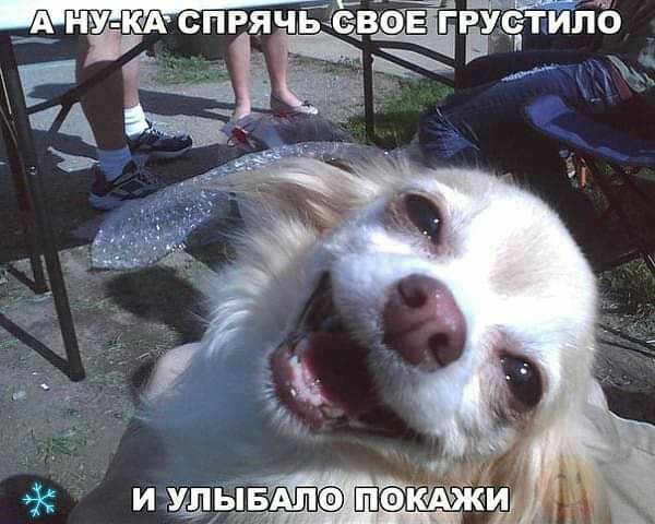 КА СПРЯЧЬ ВФЕ ГРХЁЁТИЛО _