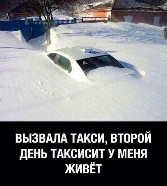 вызвдлд тАкси второй день тАксисит у меня живёт