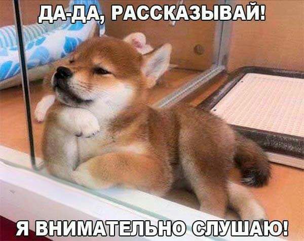 дА дА РАССКАЗЫВА ГП Й