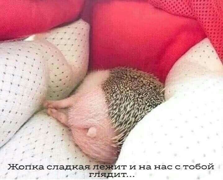 Жопка сладкая т и на нас с тобой ит