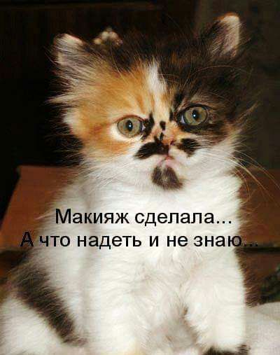 акияж сделала ТО надеть И не зна