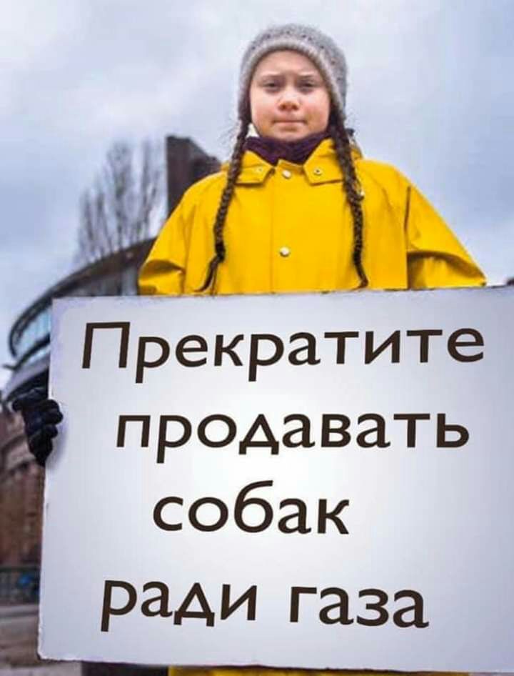 ПрекРатите продавать собак РЭАИ газа