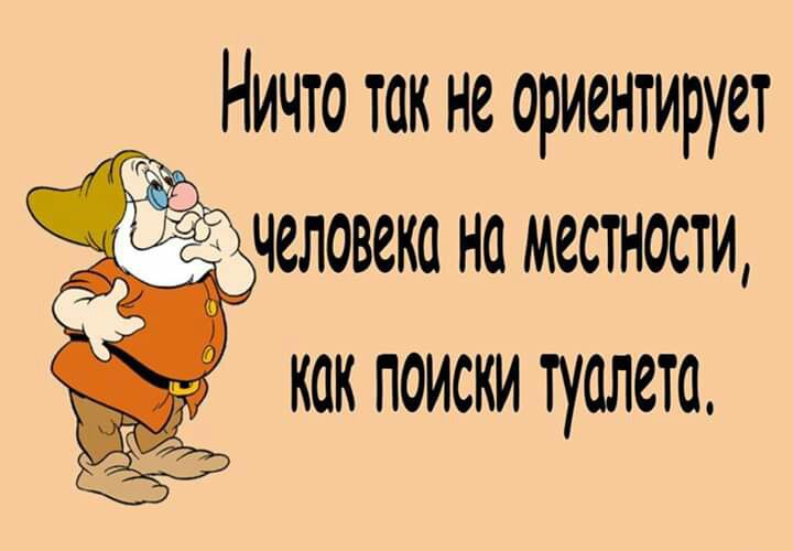 Ничто так не ориентирует человека на местности как поиски туалета