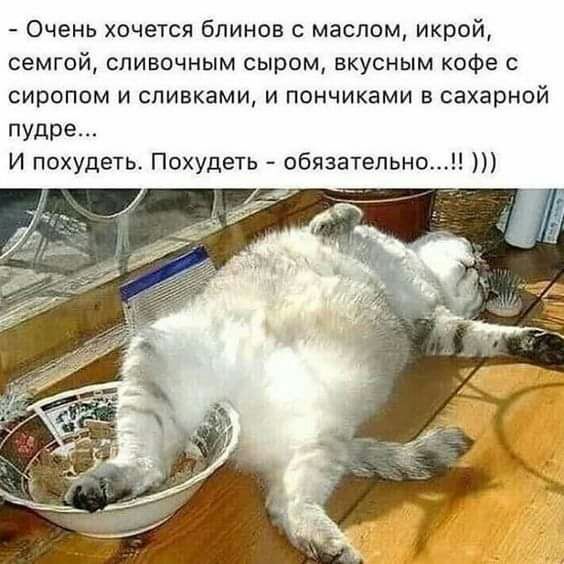 Очень хочется блинов с маслом икрой семгой сливочным сыром вкусным кофе с сиропом и сливками и пончиками в сахарной пудре И похудеть Похудеть обязательно