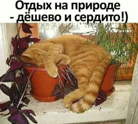 Отдых на природе лёщевои се итр дуг Р