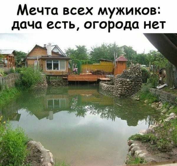 МСЧТО ВСЕХ МУЖИКОВ дача есть ОГОРОДО НСТ