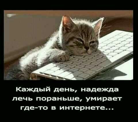 Каждый день надежда лечь пораньше умирает где то в интернете
