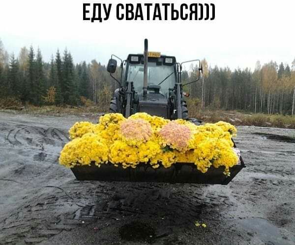 ЕДУ БВАТАТЬБНШ