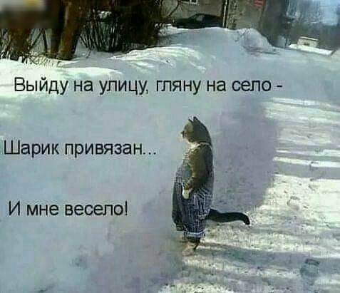 Выйду на улицу гляну на село Шарик привязан И мне весепоі