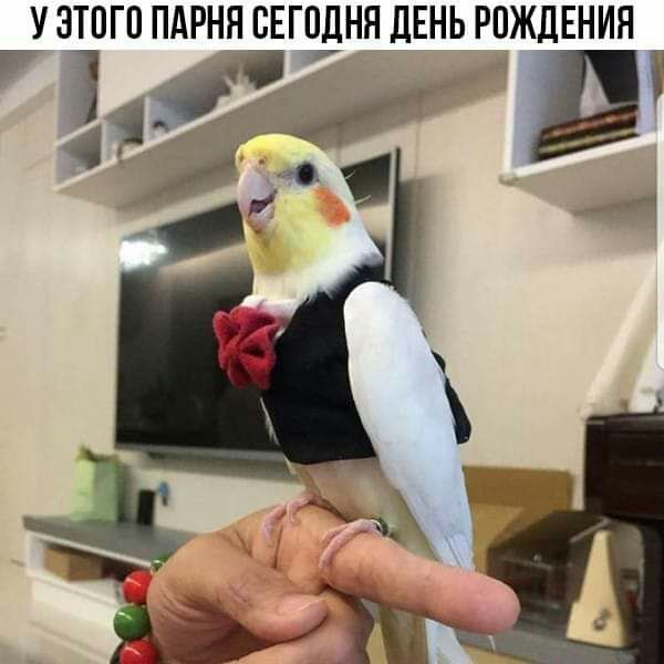 У ЭТОГО ПАРНЯ БЕГПДНН ДЕНЬ РОЖДЕНИЯ М