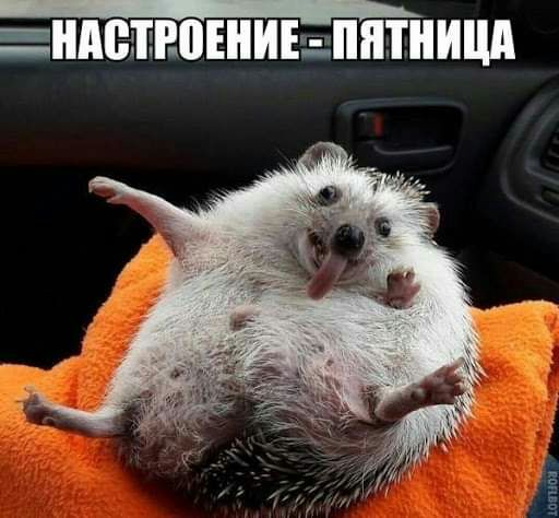 АБ0ЕИЕЁШПИШ