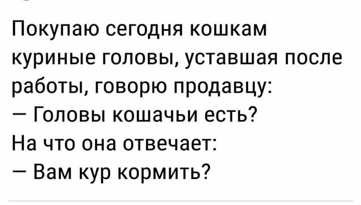 Покупаю сегодня кошкам куриные головы уставшая после работы говорю продавцу Головы кошачьи есть На что она отвечает Вам кур кормить