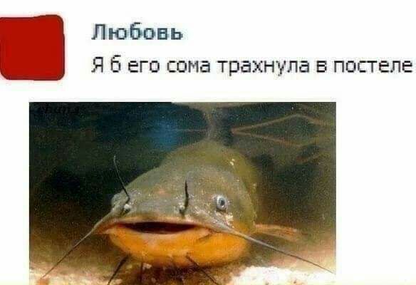 Любовь Я б его сома трахнула в постеле