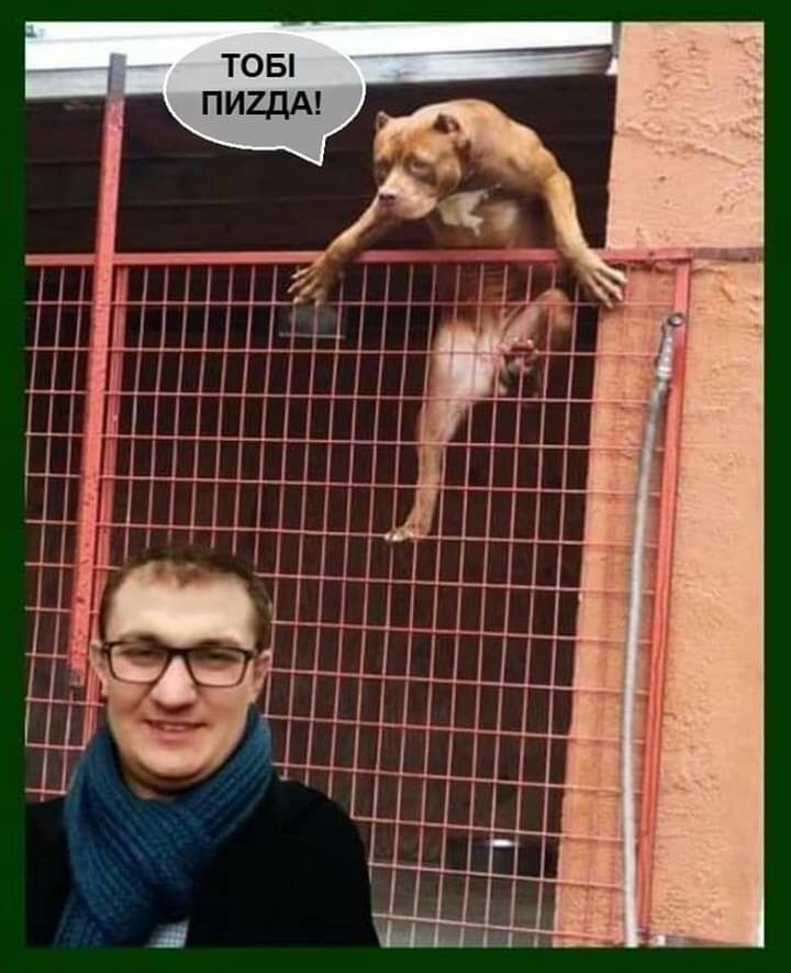 _ ШЁЁЁЦЦШЦ