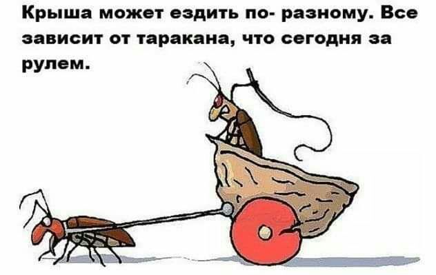 Крыша может ездить по разному Все зависит от таракана что сегодня за рулем