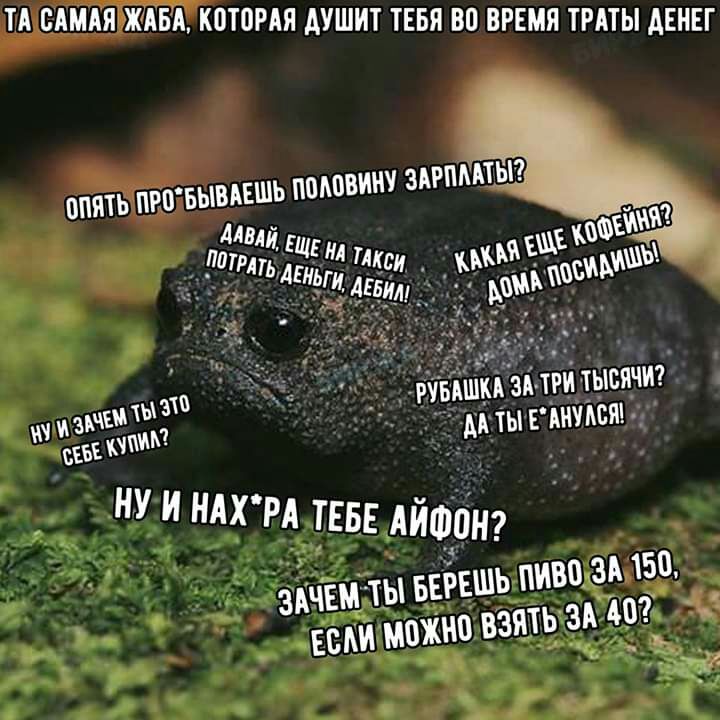 ТА САМАЯ ЖАБА КПТОРАЯ АУШИТ ТЕБЯ ВП ВРЕМЯ ТРАТЫ АЕНЕГ ПЯТЬ ПРВБЫВАЕШЬ ПБАПВИНУ 3АРПААТЫ_ н уи ндх рд цве Айшбнг Чаты вёвшь ЕВАИ махни взять зи Авт ИВЦ ЗА 150