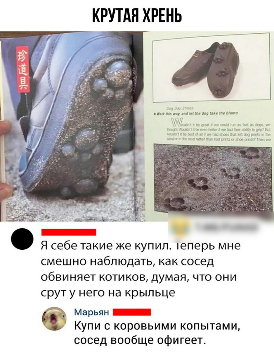 КРУТАЯ ХРЕНЬ вытащил пиши Юіщіпгіп ммм мы іыдкчідиш им пм гпнтм щ этим шит Я себе такие же купил пеперь мне смешно наблюдать как сосед обвиняет котиков думая что они срут у него на крыльце Марьян _ Купи с коровьими копытами сосед вообще офигеет