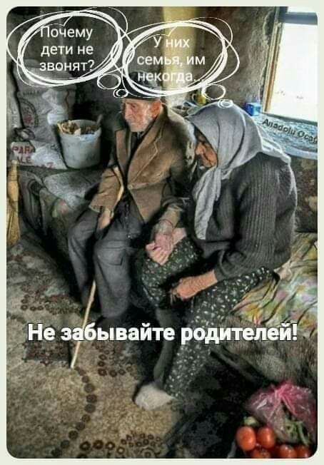 Ёе звёывайте тдитедейЁ г