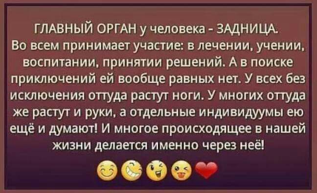 ГЛАВНЫЙ ОРГАН у человека ЗАДНИЦА Во всем принимает участие в лечении учении воспитании принятии решений А в поиске приключений ей вообще равных нет У всех без исключения оттуда растут ноги У многих оттуда же растут и руки а отдельные индивидуумы ею ещё и думают И многое происходящее в нашей жизни делается именно через неё 60989