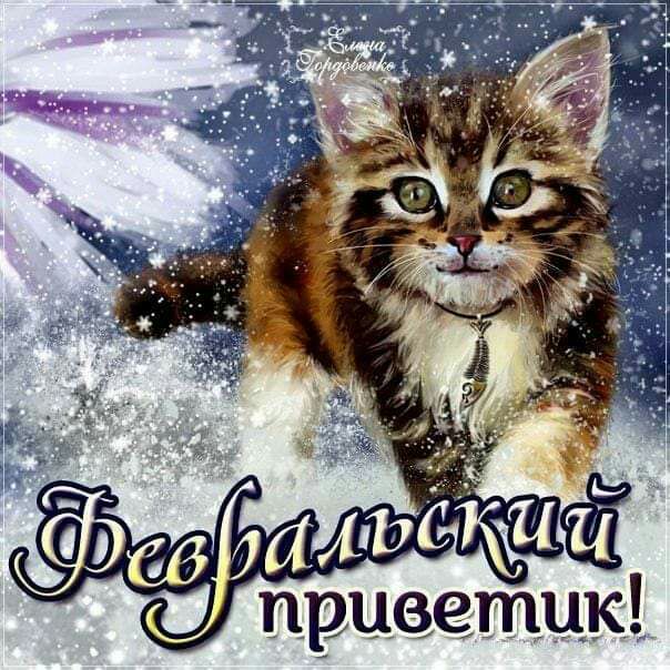 и приветик