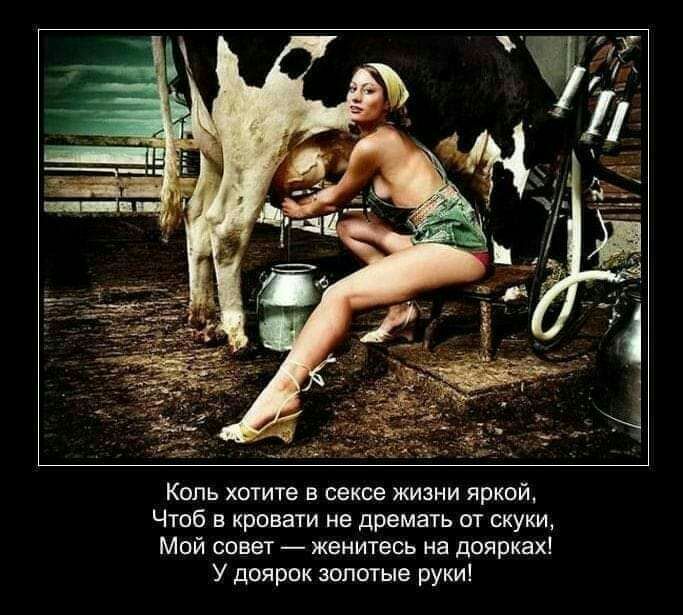 Коль хотите в сексе жизни яркой Чтоб в кровати не дремать от скуки Мой совет женитесь на доярках У доярок золотые руки