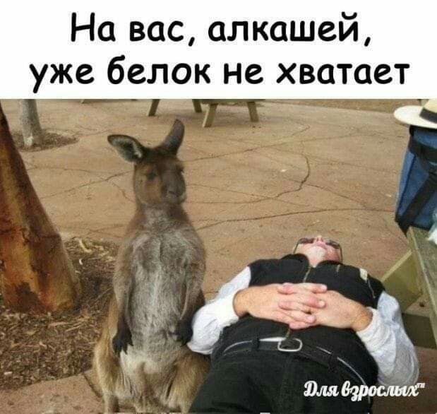 На вас алкашей уже белок не хватает