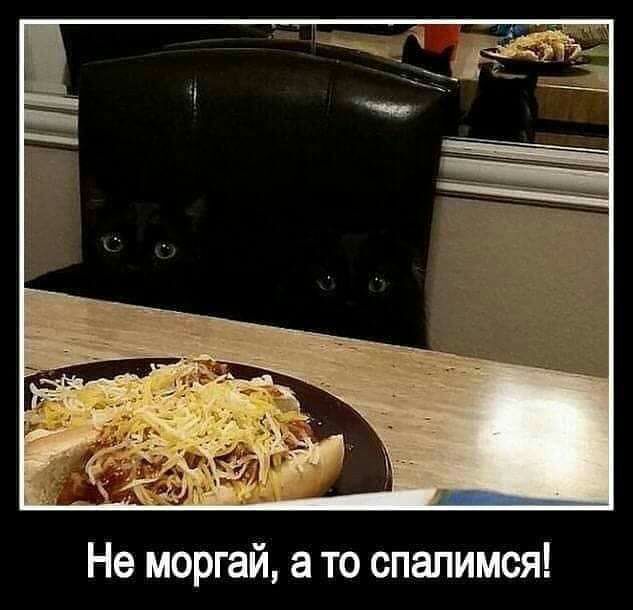 Не моргай а то спалимся