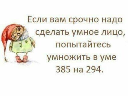 Если вам срочно надо сделать умное лицо попытайтесь умножить в уме 385 на 294