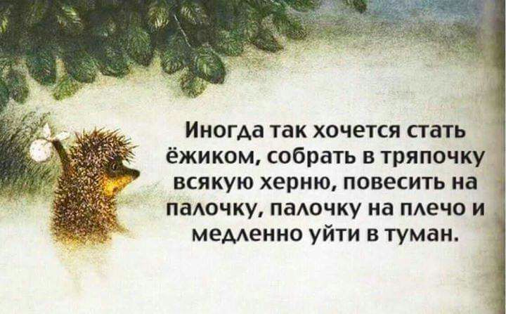 Иногда так хочется сгать ёжиком собрать в тряпочку всякую херню повесить на паючку паючку на шею и меменно уйти в туман