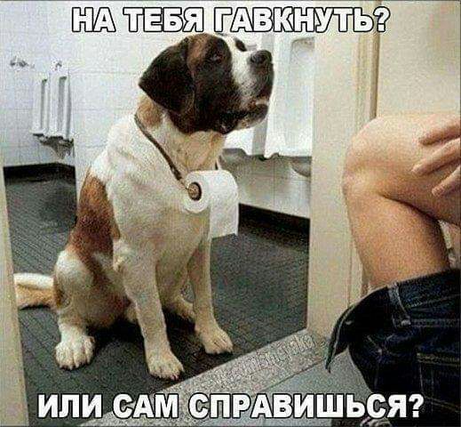 ЕЬ іввя