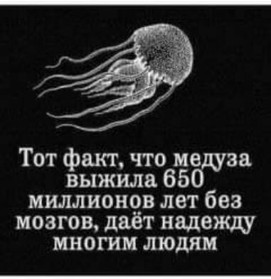 Тот факт что мещан выжила 650 миллионрв лет без мозгов дает надвжщ многим людям