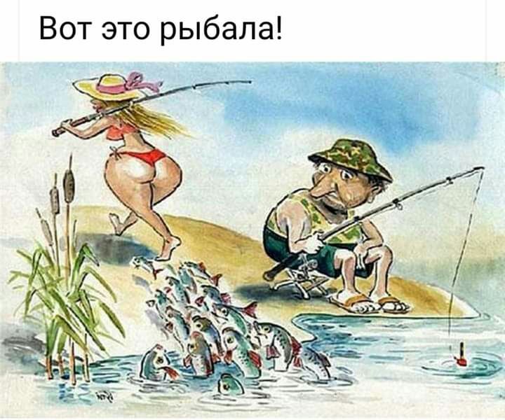 Вот это рыбала