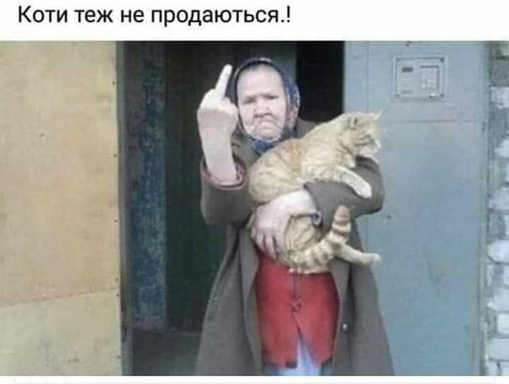 Коти теж не продаються