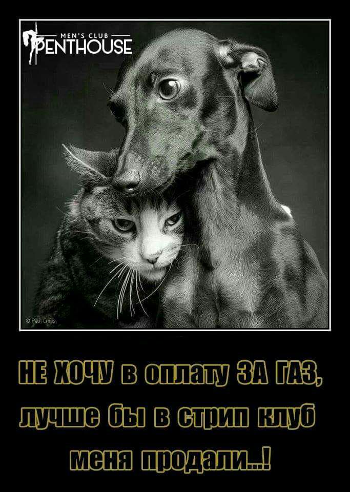 ВШ ШШВ
