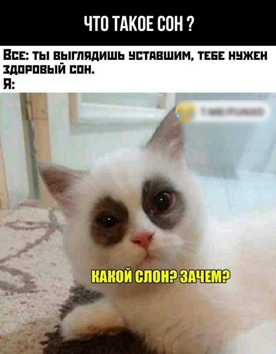 ЧТО ТАКОЕ ВПН ВСЕ ТЫ ВіГППдИШЬ НЕТдВШИМ ТЕБЕ ННЖЕН ЗдПРПВЫИ СПН Я д