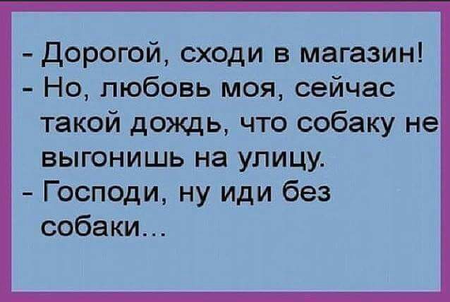 дорогой сходи в магазин Но любовь моя сейчас такой дождь что собаку не выгонишь на улицу Господи ну иди без собаки