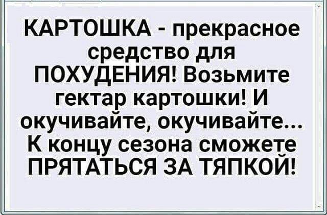 КАРТОШКА прекрасное средство для ПОХУДЕНИЯ Возьмите гектар картошки И окучивайте окучивайте К концу сезона сможете ПРЯТАТЬСЯ ЗА ТЯПКОЙ