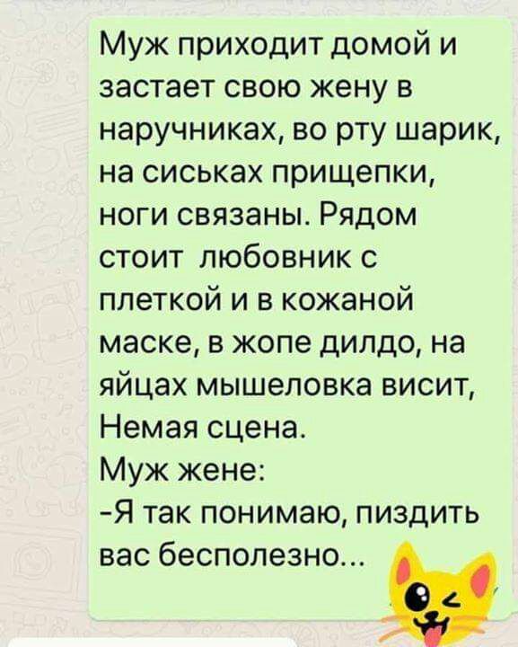 Муж приходит домой и застает свою жену в наручниках во рту шарик на сиськах прищепки ноги связаны Рядом стоит любовник с плеткой и в кожаной маске в жопе дилдо на яйцах мышеловка висит Немая сцена Муж жене Я так понимаю пиздить вас бесполезно