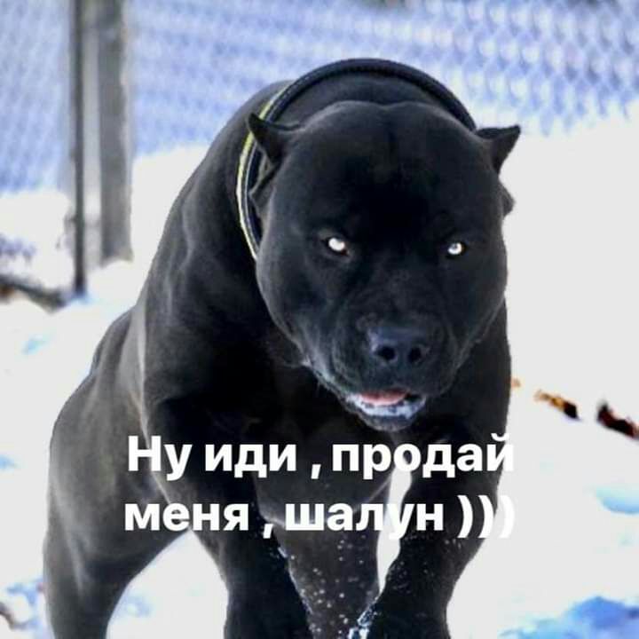 у иди пуда