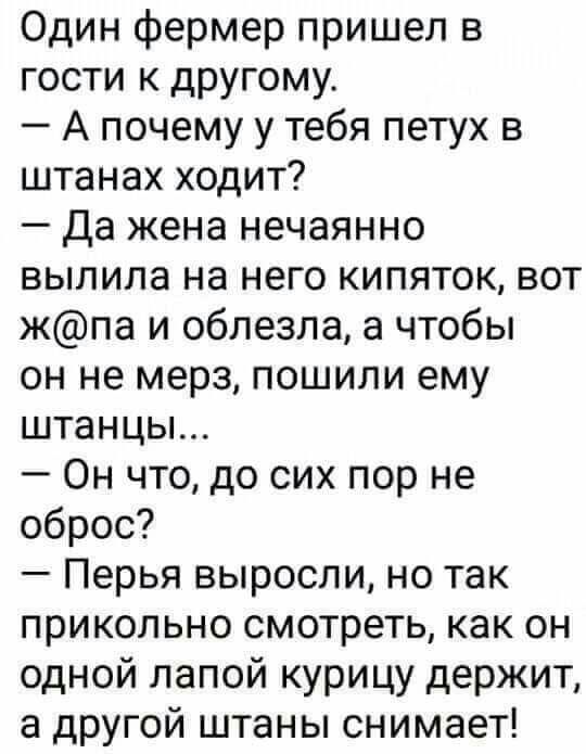 Один фермер пришел в гости к другому А почему у тебя петух в штанах ходит Да жена нечаянно выпила на него кипяток вот жпа и облезла а чтобы он не мерз пошили ему штанцы Он что до сих пор не оброс Перья выросли но так прикольно смотреть как он одной лапой курицу держит а другой штаны снимает