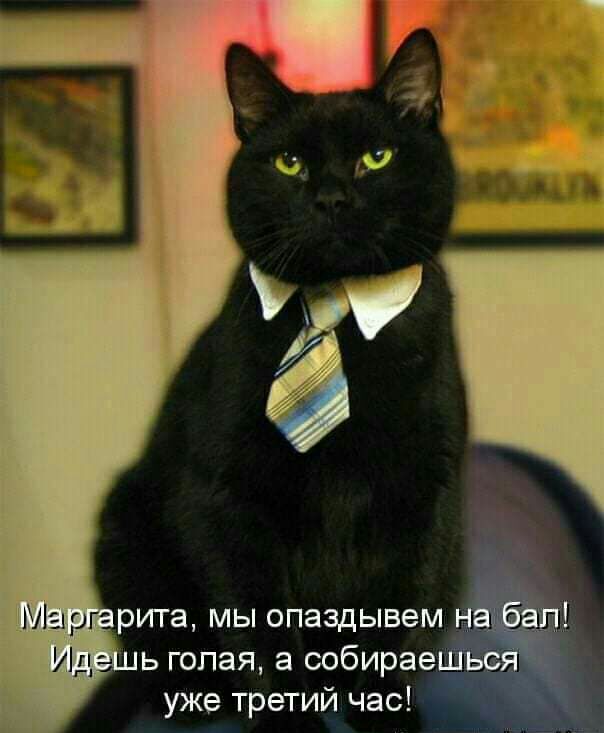 рита мы опаздывем на 6 ь голая а собираеп уже третий час